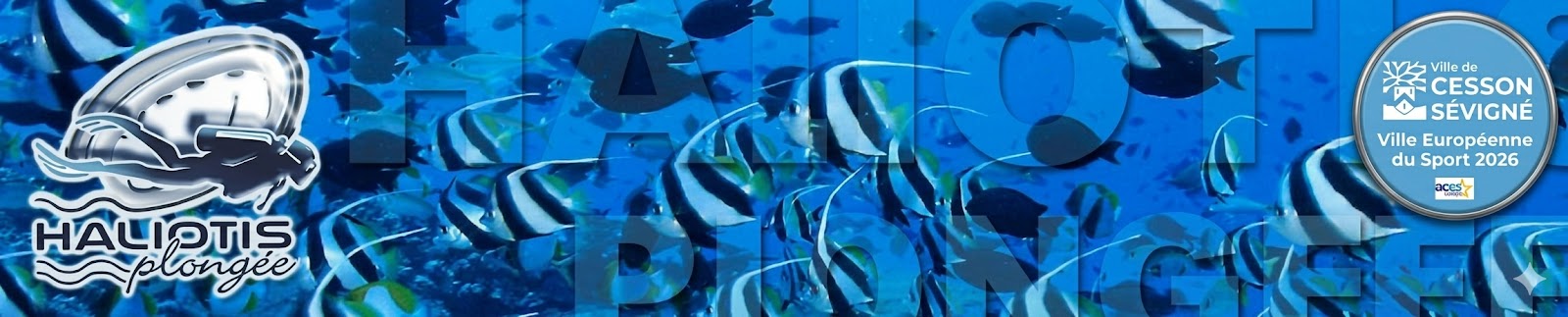 HALIOTIS - Club de Plongee Sous Marine - Cesson Sevigne